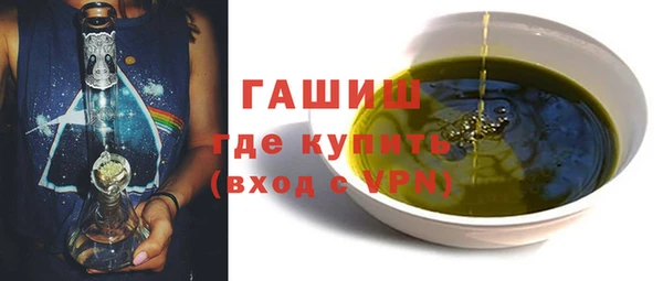 гашик Алексин