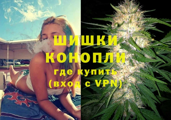 гидропоника Сатка