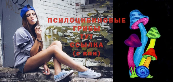 а пвп мука Алзамай