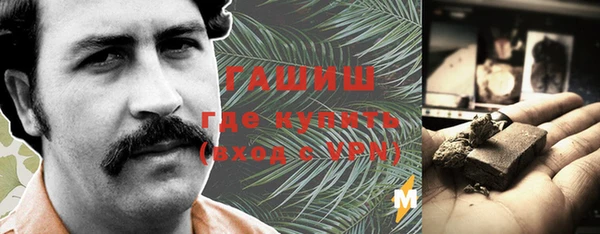 гашик Алексин