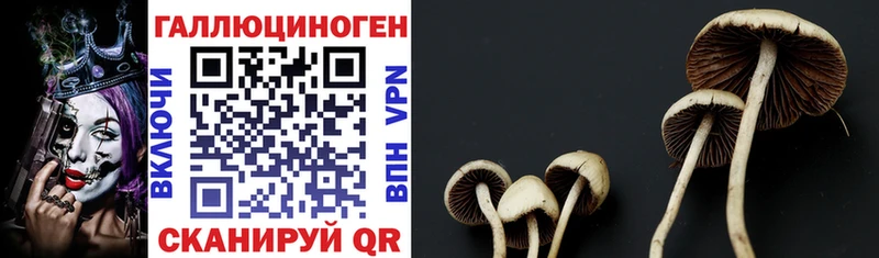 Галлюциногенные грибы GOLDEN TEACHER  hydra как зайти  Павлово 